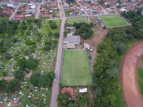 Campos de grama natural